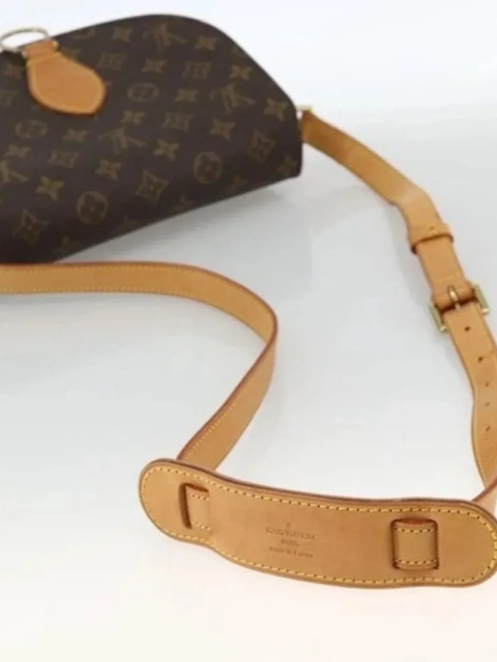 Louis Vuitton brand louis
